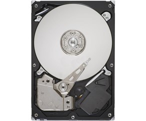 WESTERN DIGITAL Blue (WD60EZAZ) 