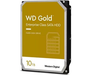 WESTERN DIGITAL Gold Enterprise Class (WD102KRYZ) 